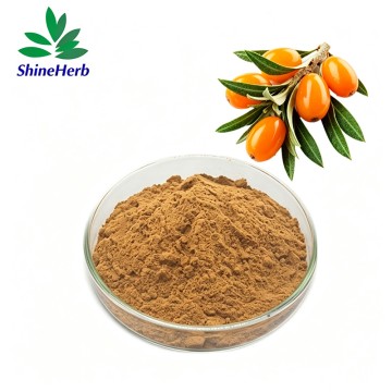 Bulk Seabuckthorn Extract Sea Buckthorn Flavonoids Powder Dietary Supplement