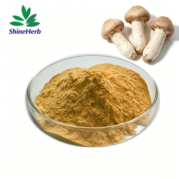 Coprinus Comatus Extract Natural Shaggy Mane Extract Raw Material For Supplements