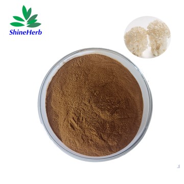 100% Natural Sparassis Crispa Extract 30% Polysaccharide