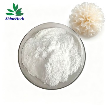 Tremella Fuciformis Mushroom Extract 40% Polysaccharides Bulk Wholesale