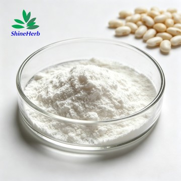 Natural Phaseolin White Kidney Bean Extract for Loss Weight