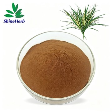 Yucca Extract Natural Feed Additive