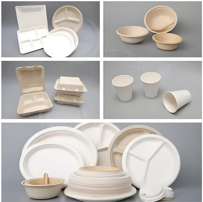 Vaisselle biodégradable en pâte à modeler.jpg