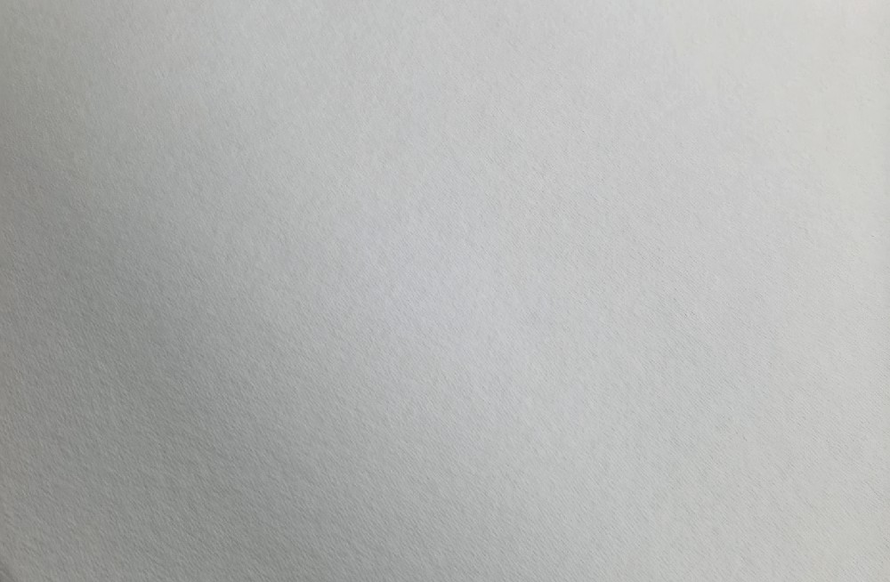 バガスパルプ原料