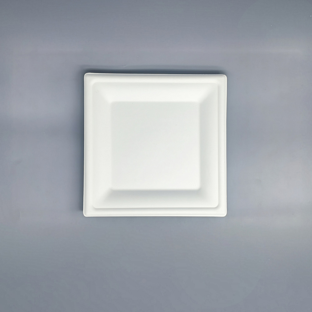 biodegradable square plate.jpg