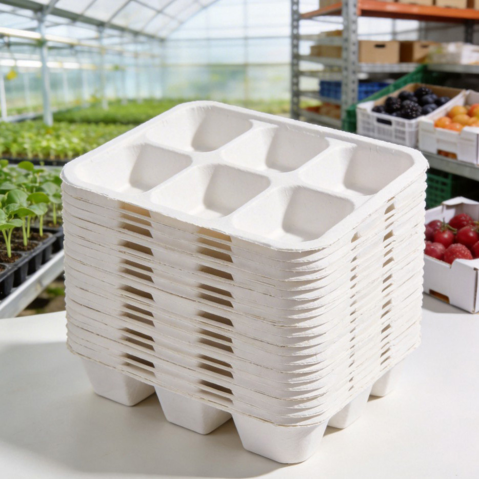 Plateaux compostables sur mesure pour pulpe de cerises et de fraises