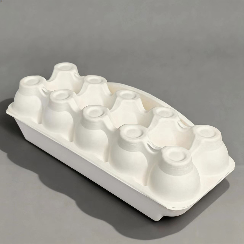 Eco-Friendly Disposable Egg Cartons.jpg
