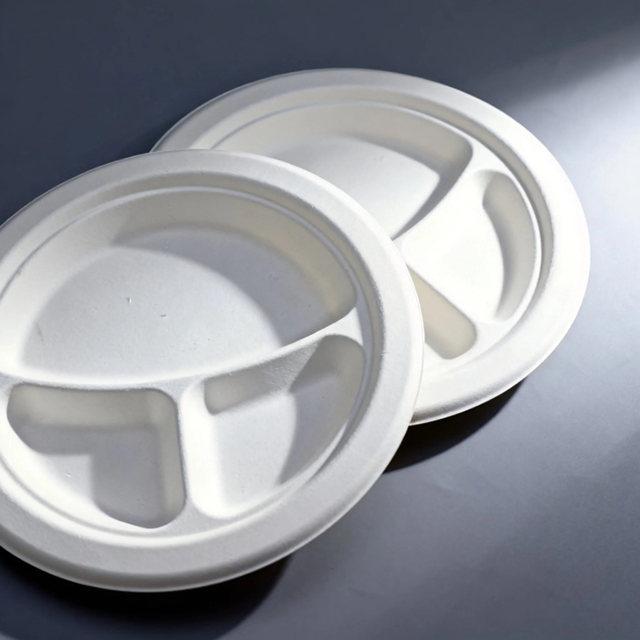 Environmentally Friendly Degradable Dinner Plates.jpg