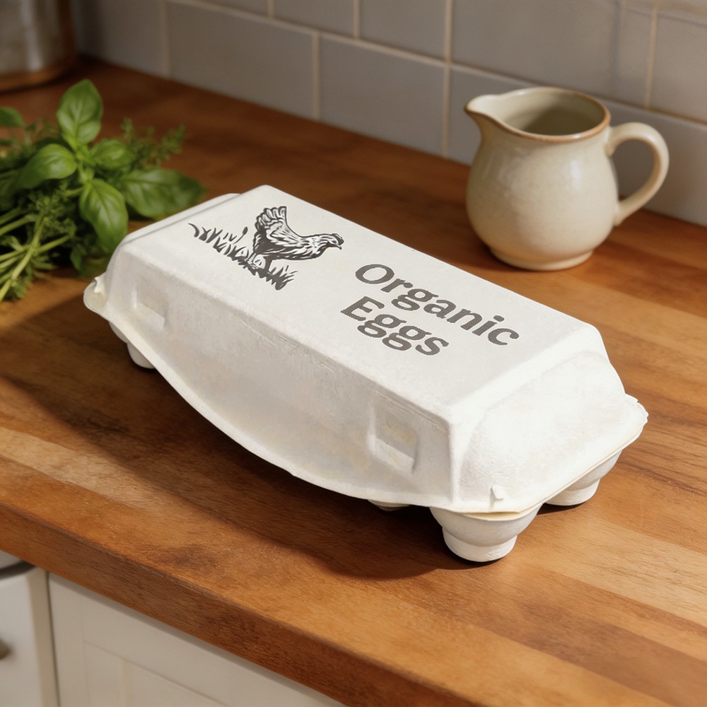 Free Shipping Recyclable Molded Pulp Egg Storage Containers.jpg