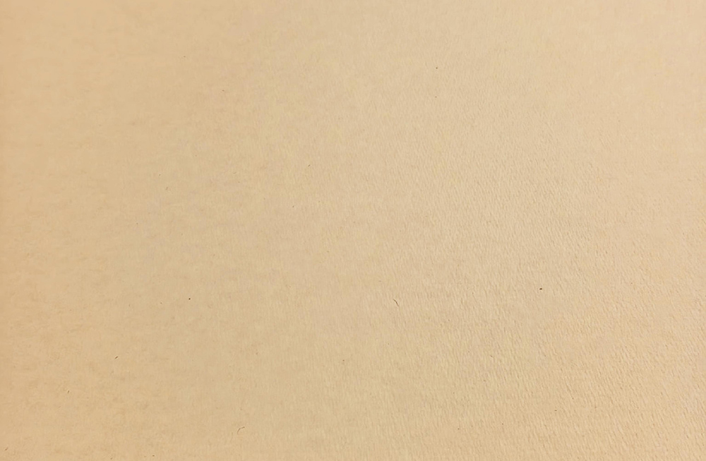 木材パルプ原料