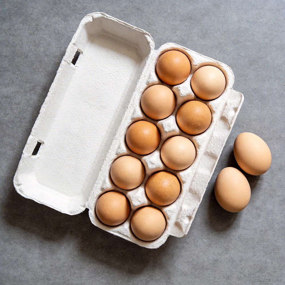 Zero Waste Sustainable Egg Cartons.jpg
