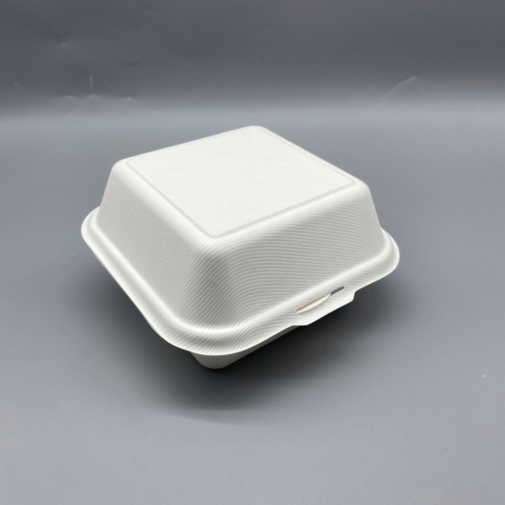 Eco-Friendly Biodegradable Burger Box