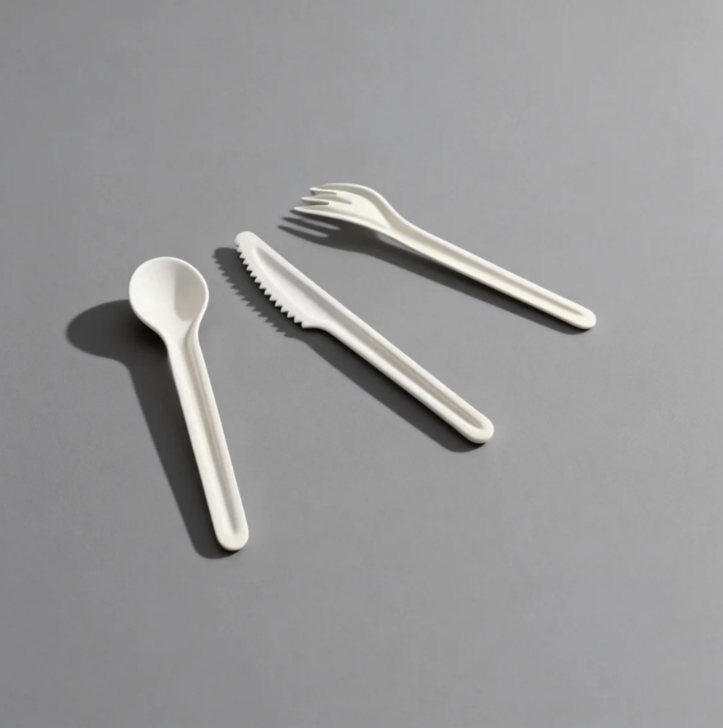sugarcane bagasse disposable utensils FDA certified.jpg