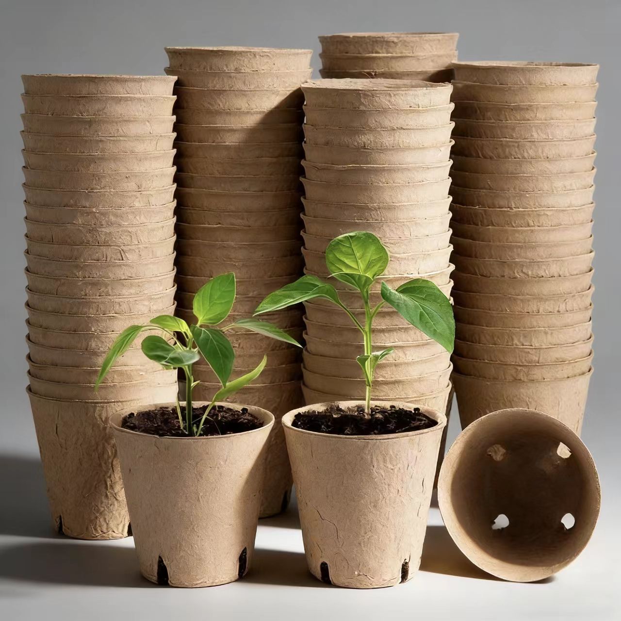 2. Contenants de plantes en pâte à papier biodégradable pour le jardinage biologique.jpg