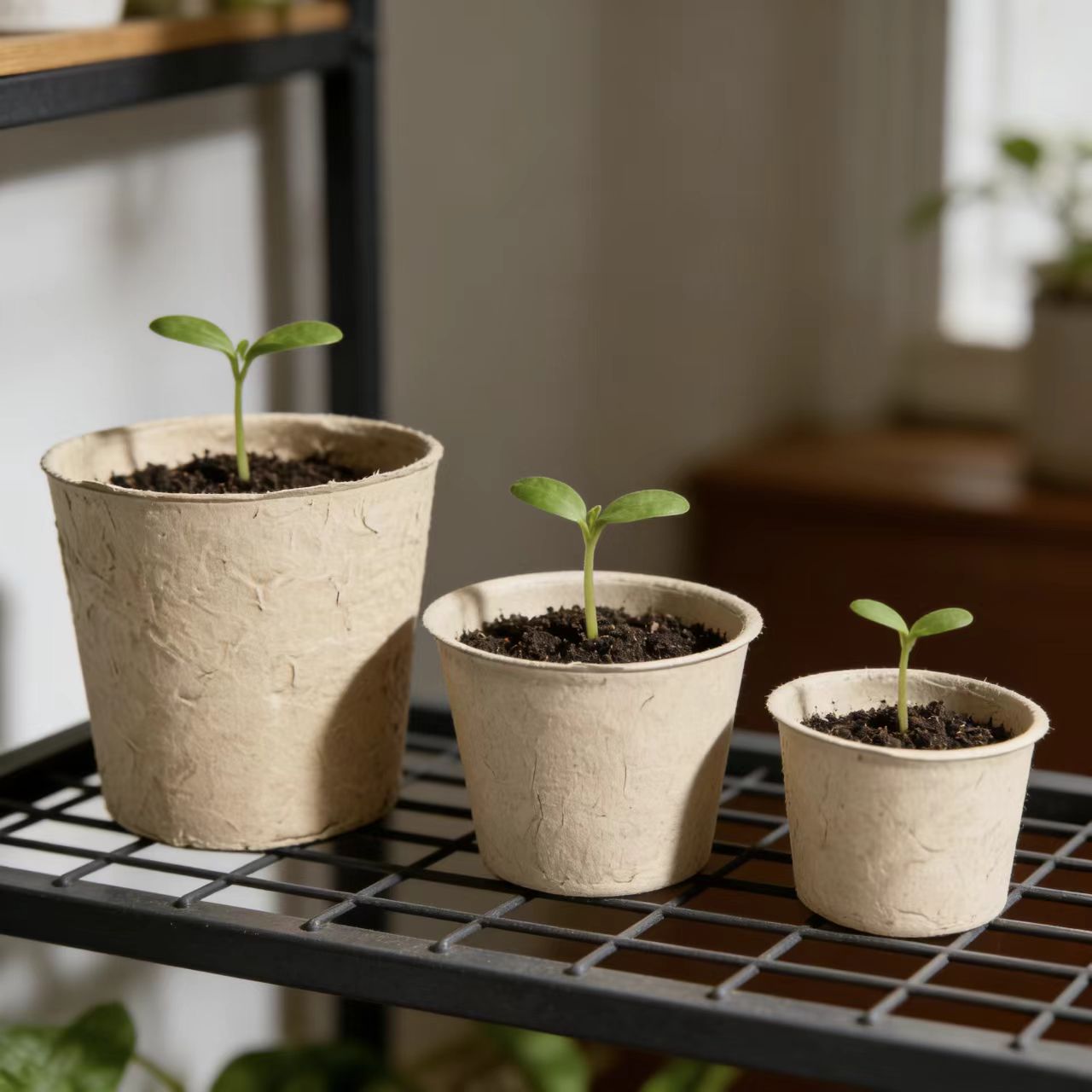 Pots de fleurs biodégradables personnalisés OEM.jpg