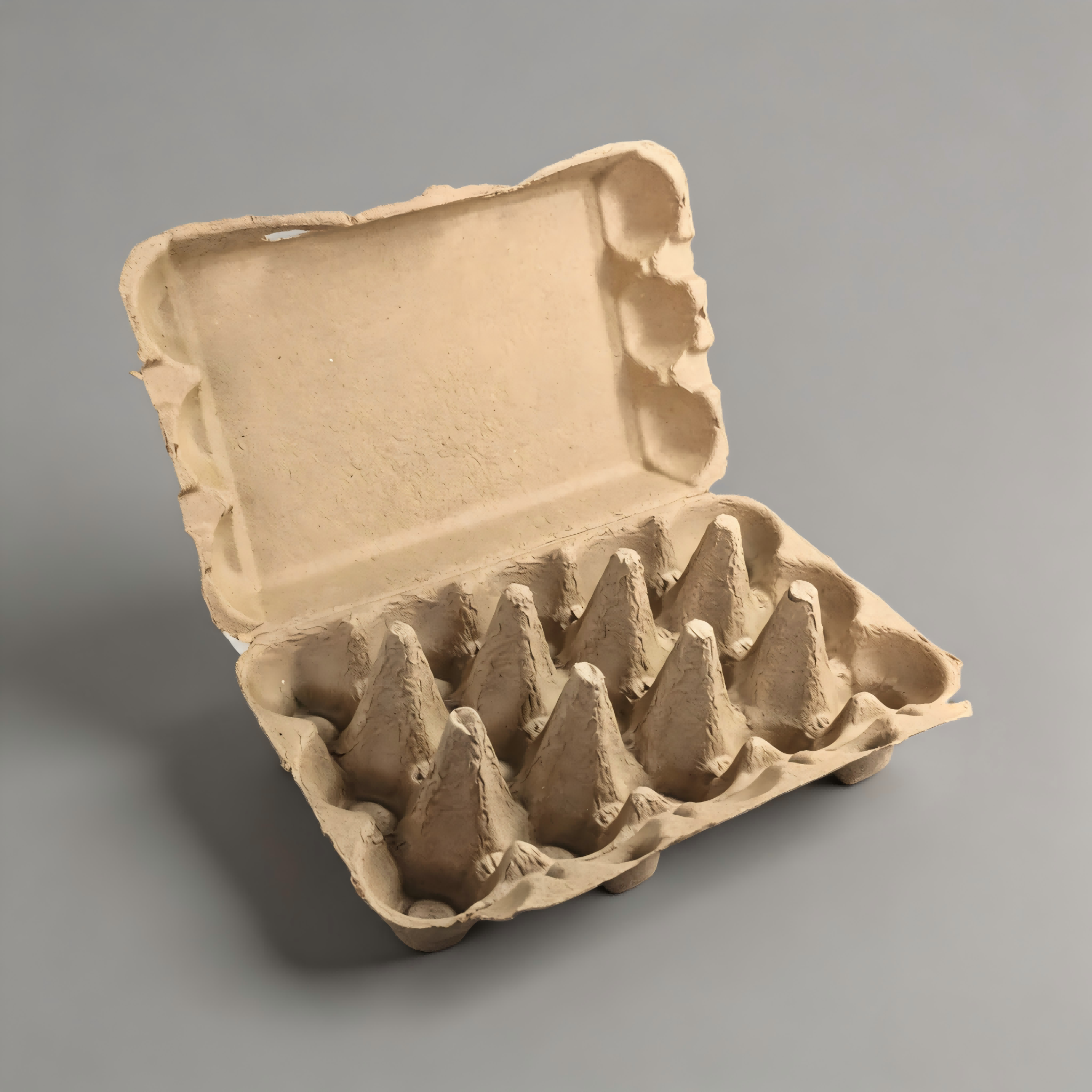100% Biodegradable Egg Carton Tray for Farm & Retail