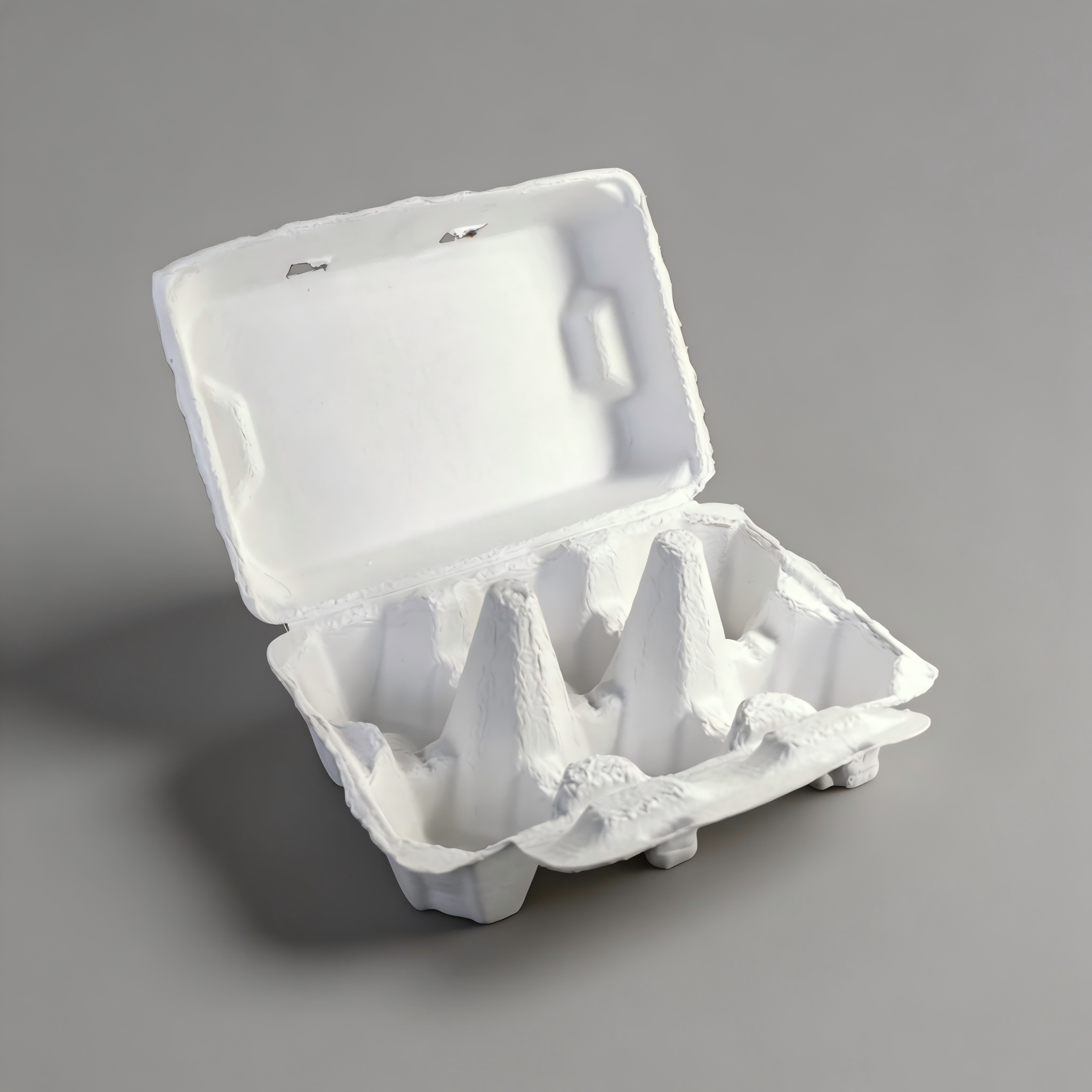 6-Cavity Biodegradable and Compostable Dry-Pressed Pulp Egg Packaging