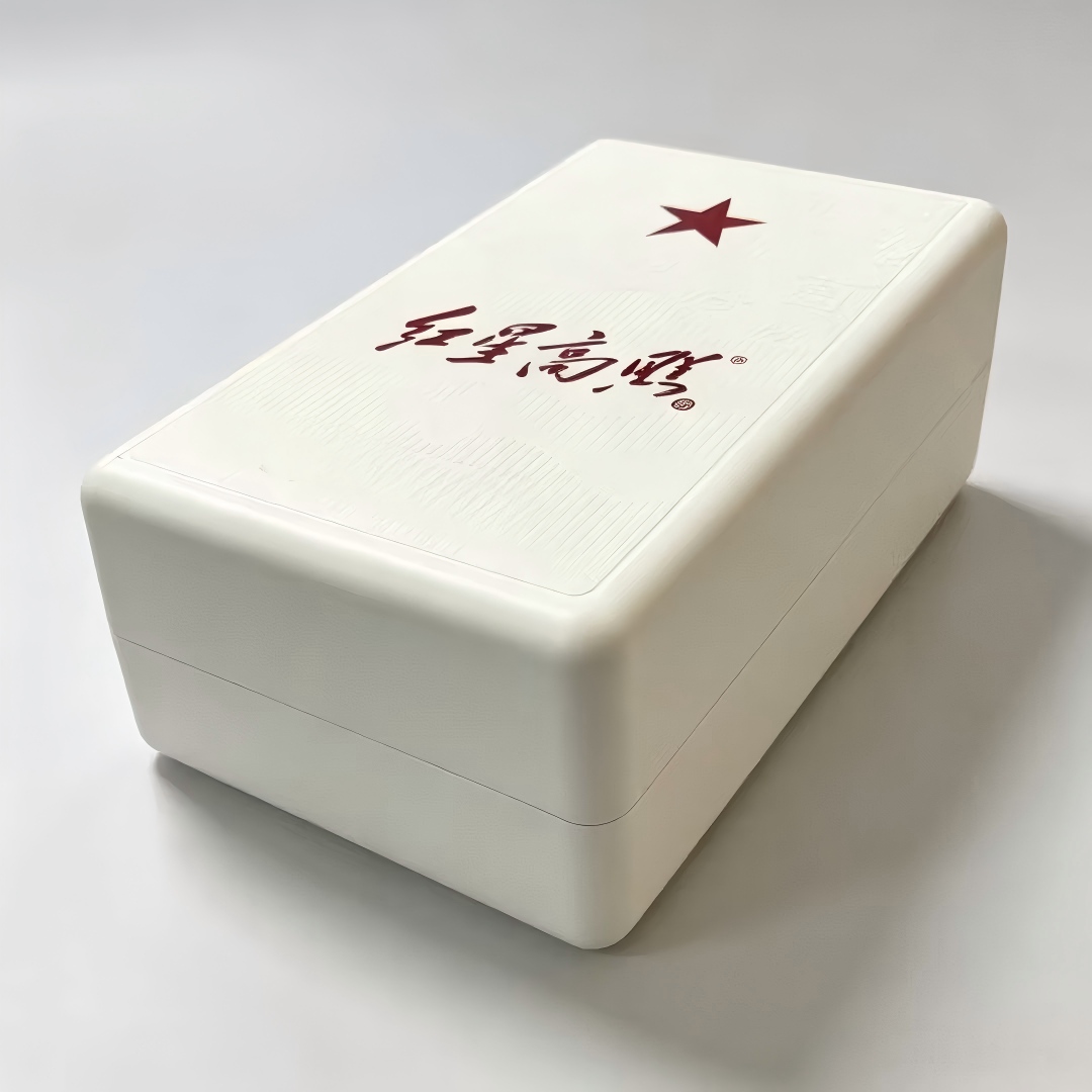 molded paper pulp packaging.jpg