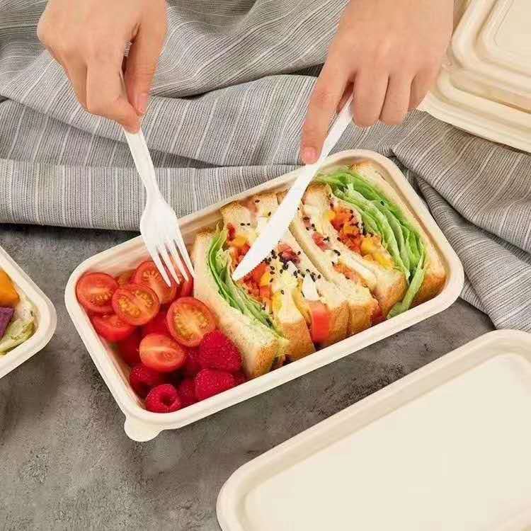 molded pulp food packaging.jpg