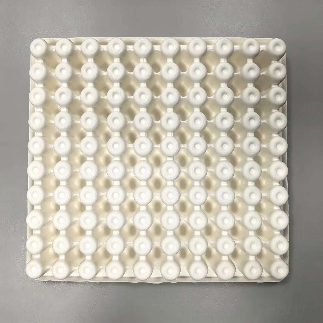 Paper Pulp Molded Test Tube trays.jpg