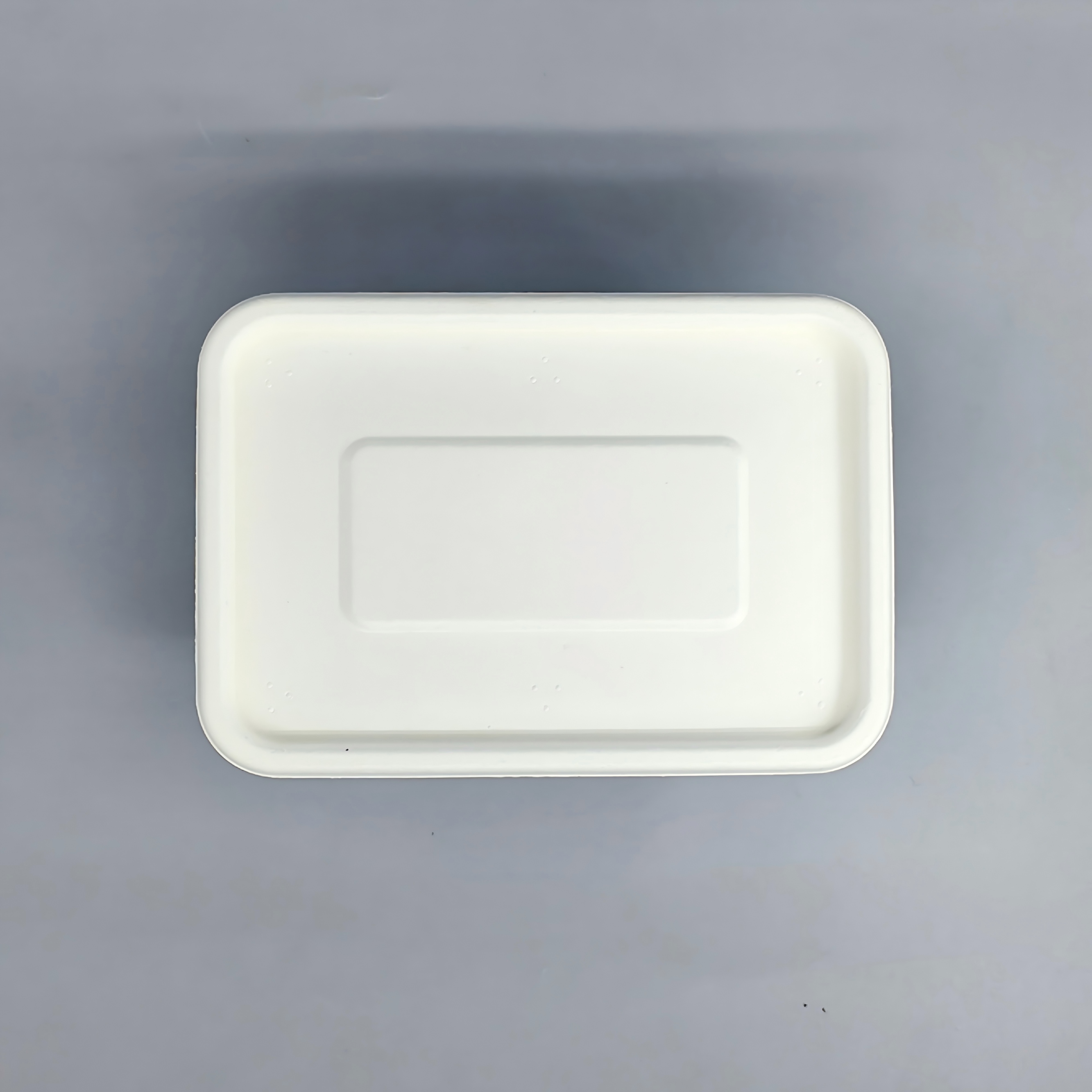 biodegradable takeout box.jpg