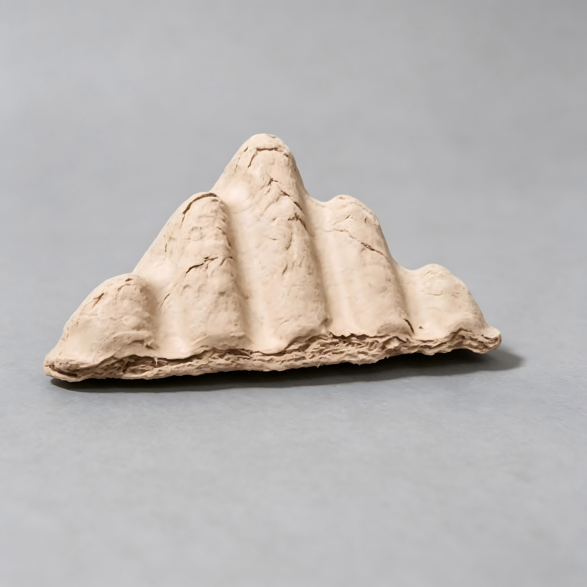 emballage de pâte pressée à sec.jpg