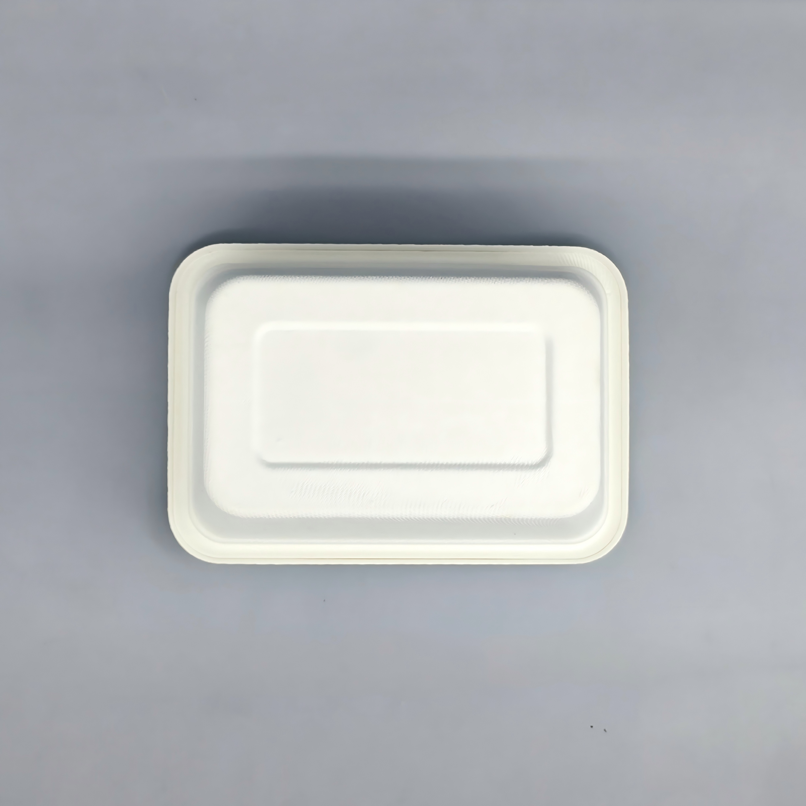 molded pulp food container.jpg