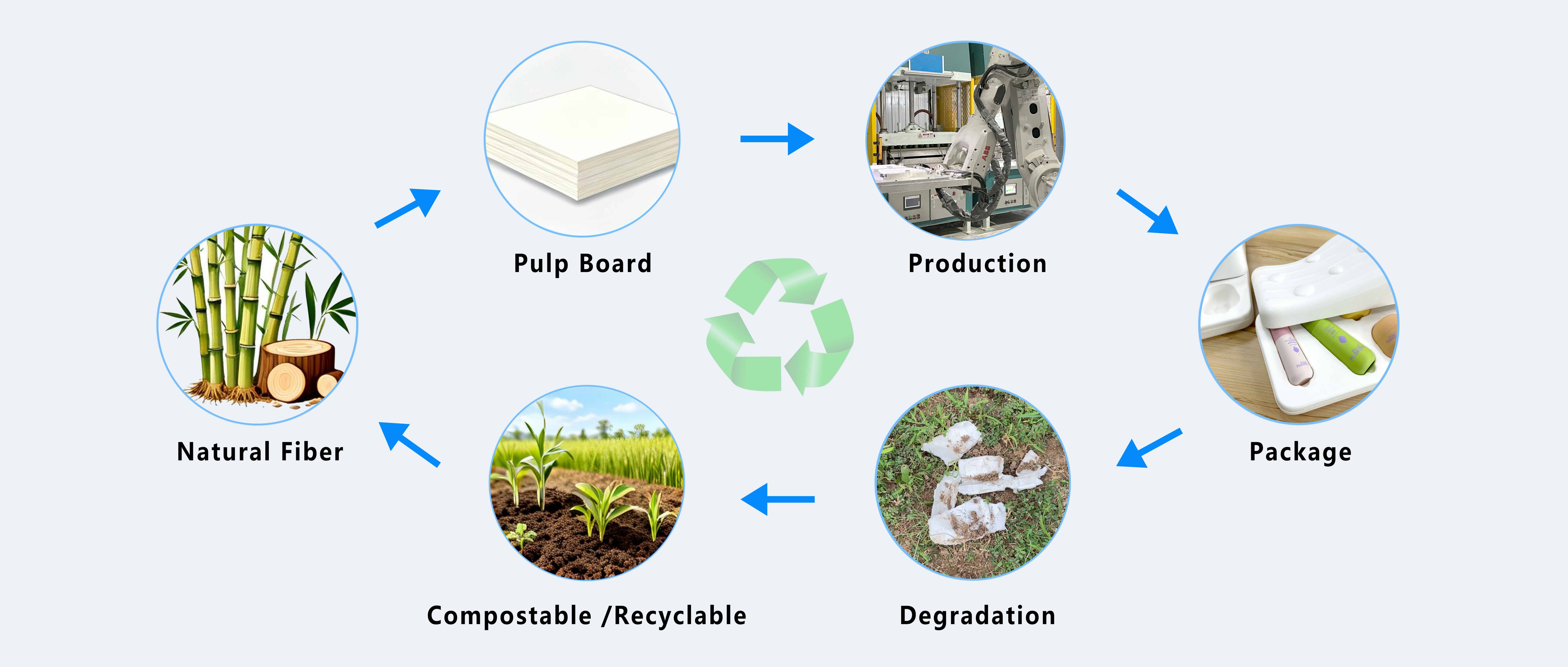 What is the Difference Between Wet Pressed and Dry Pressed Molded Fiber Packaging?