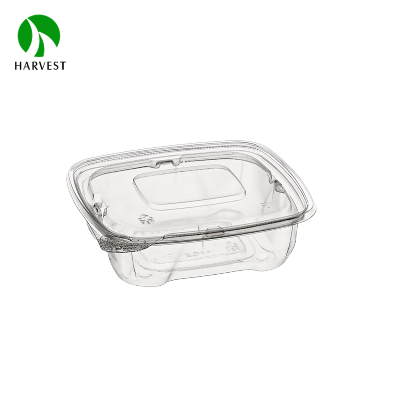 Rectangle Disposable Plastic Salad Container 1