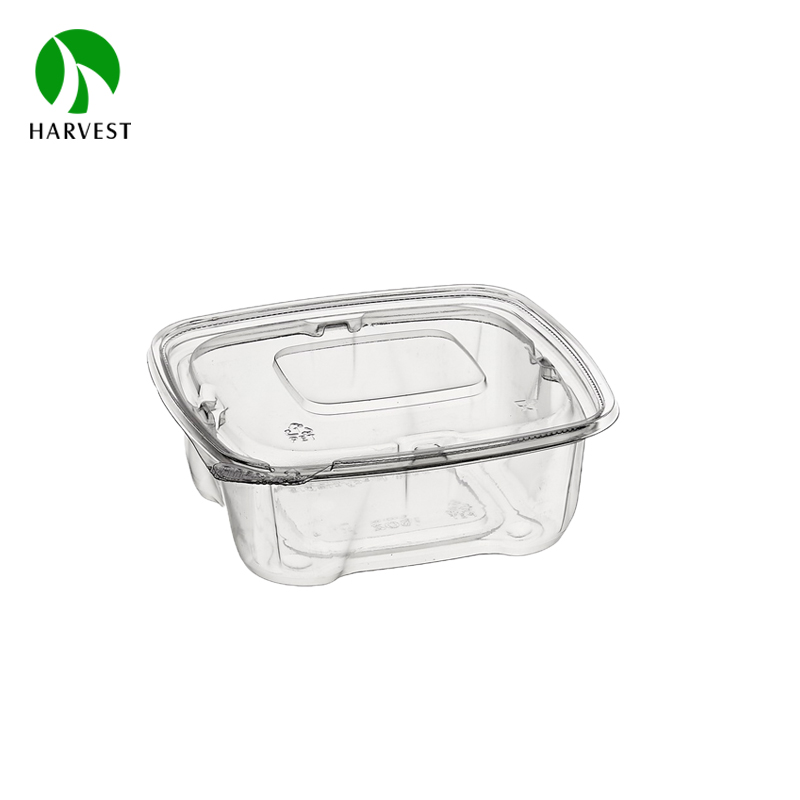 Rectangle Disposable Plastic Salad Container 2