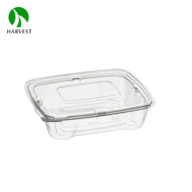 Rectangle Disposable Plastic Salad Container 3