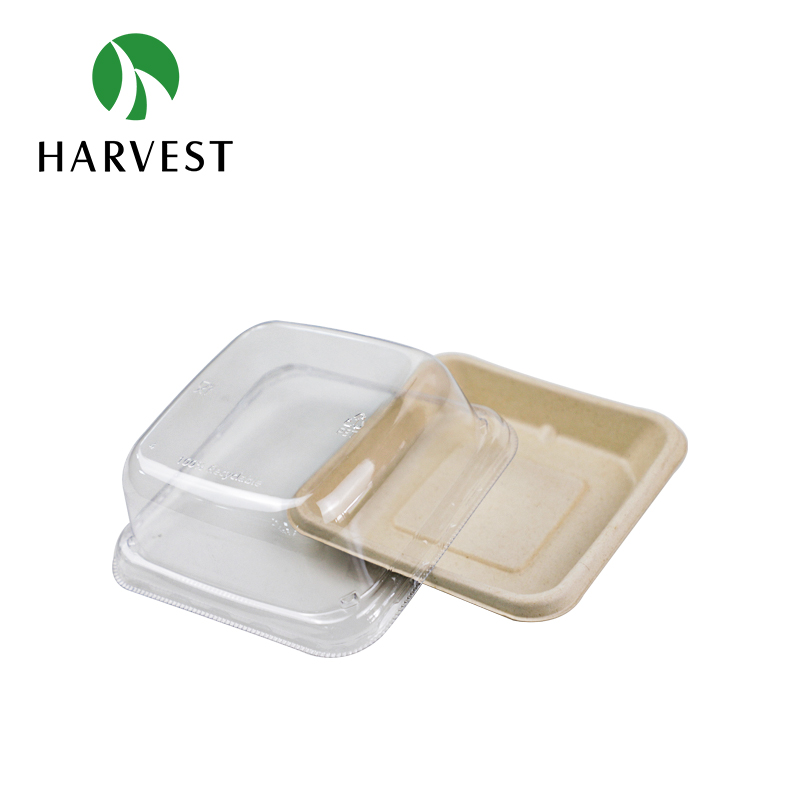 CT06-6 Inch Square Fibres Food Tray