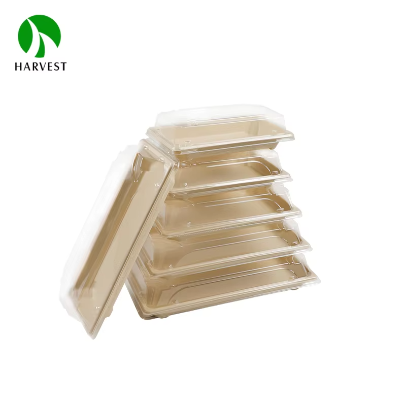 Bagasse Sushi Tray 2