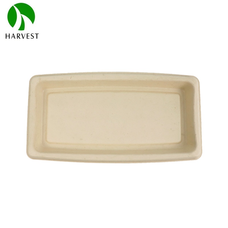 Bagasse Sushi Tray 3