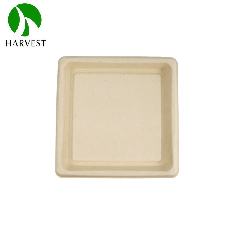 Biodegradable Fibres Sushi Tray 4