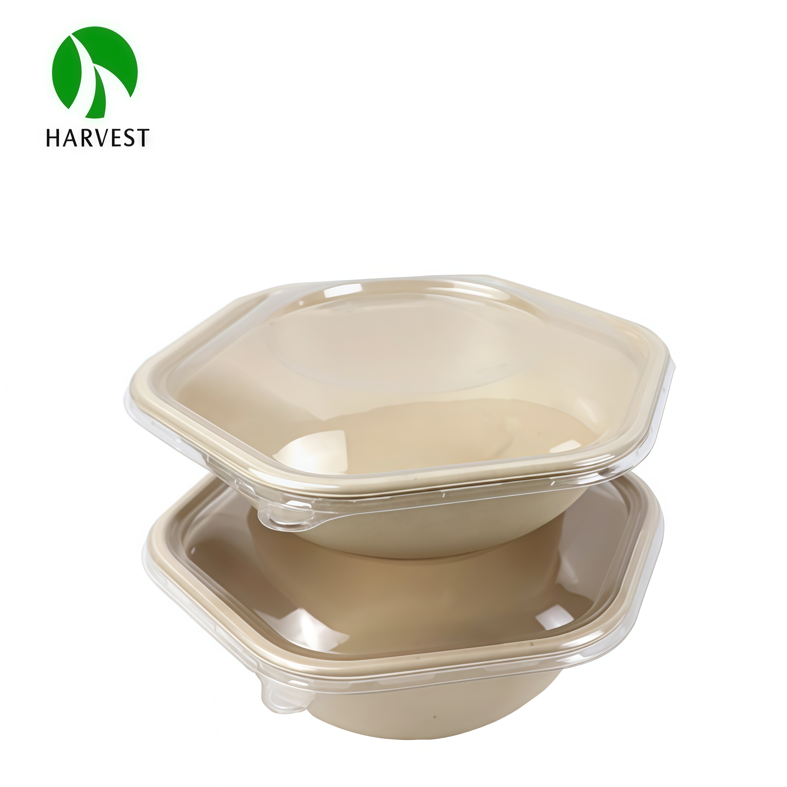 Biodegradable Food Container Hexagon Food Container 1.png