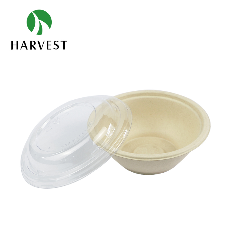 Biodegradable Pulp Bowl