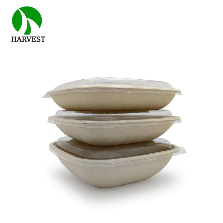 Biodegradable Square  Food Container 2
