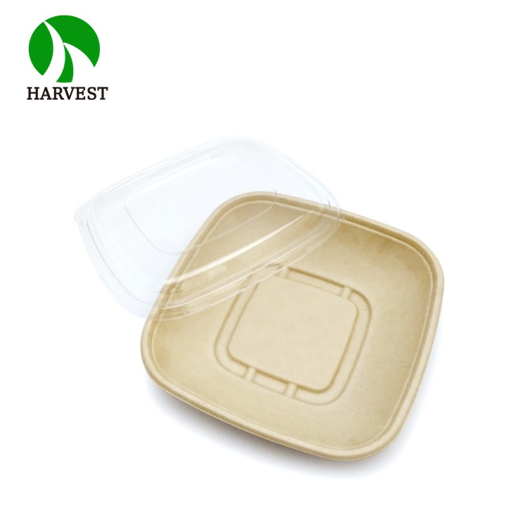 CB Square Series- 8.5 Inch Biodegradable Square Salad Container