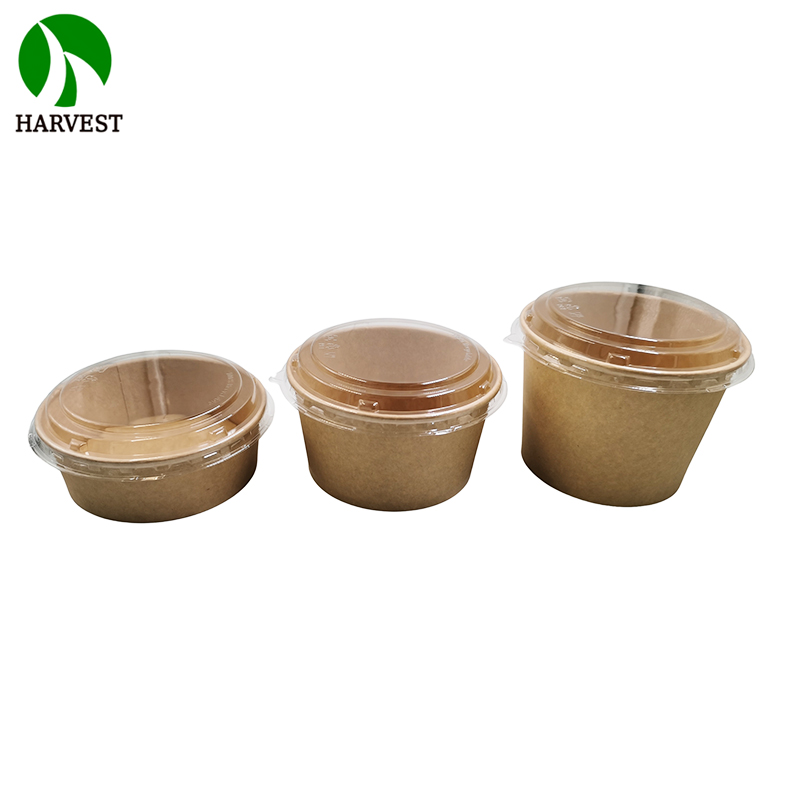Disposable Paper Salad Bowls with lids 3.jpg