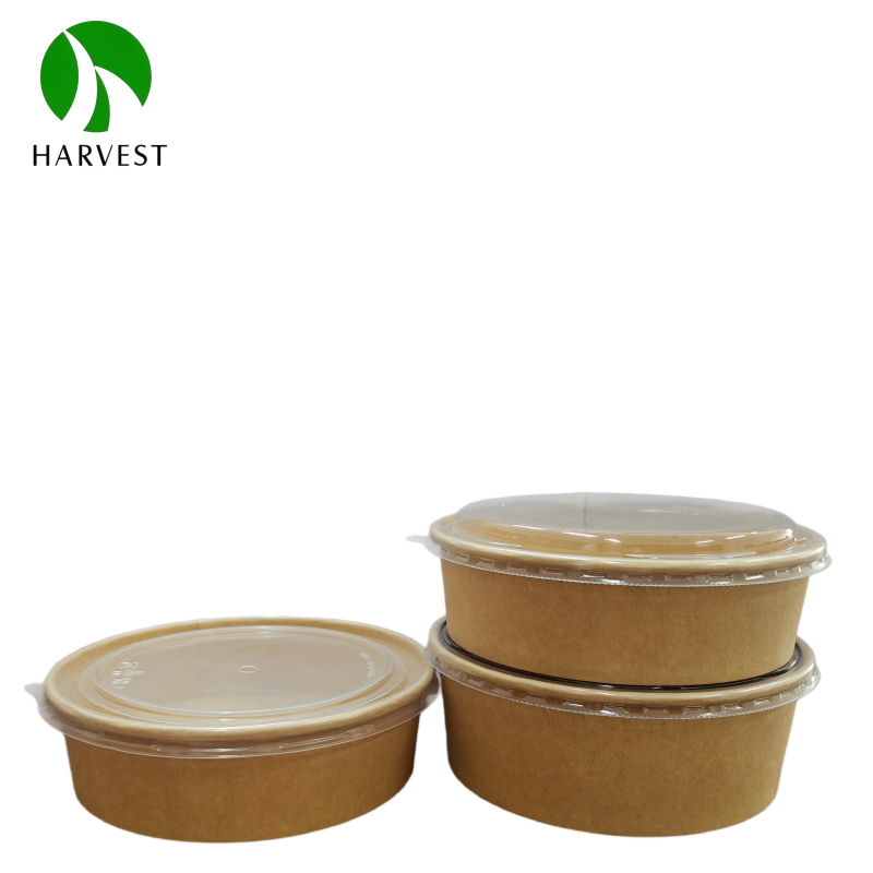 Disposable Paper Salad Bowls with lids 5.png
