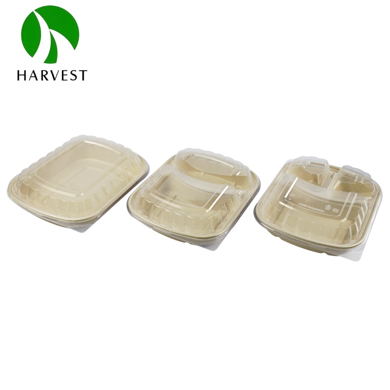 CRO Rectangle Series - Fiber Pulp Food Bento Box