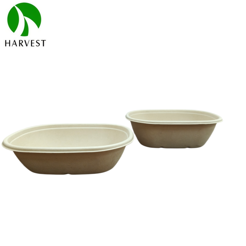 Bagasse Salad Bowl With Lid 2