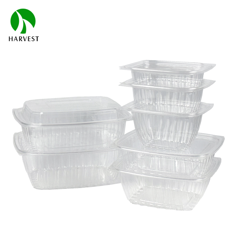 HB Series- Rectangle Disposable Plastic Salad Container