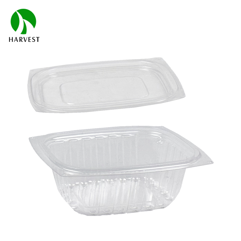 Rectangle Disposable Plastic Salad Container 2
