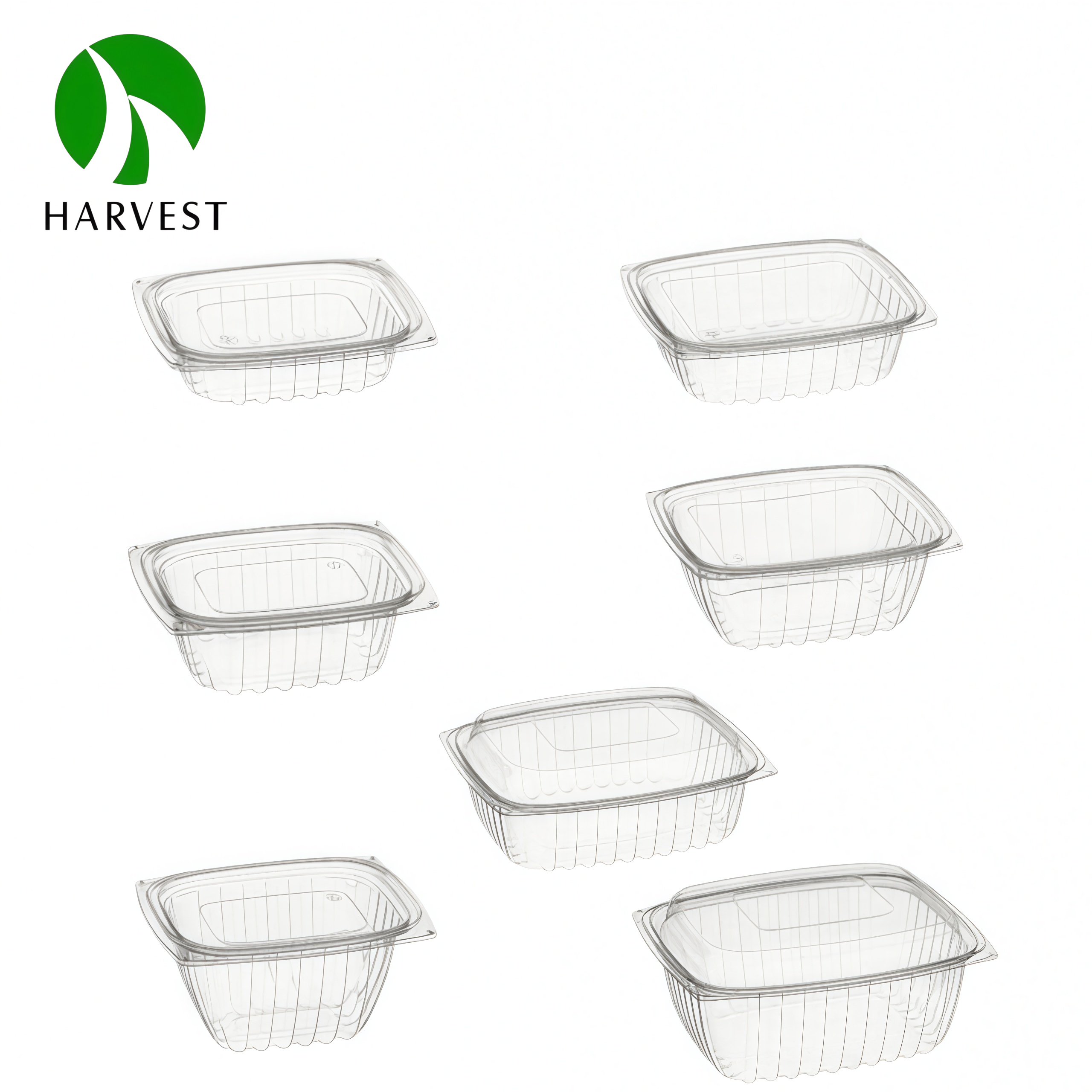 Rectangle Disposable Plastic Salad Container 3