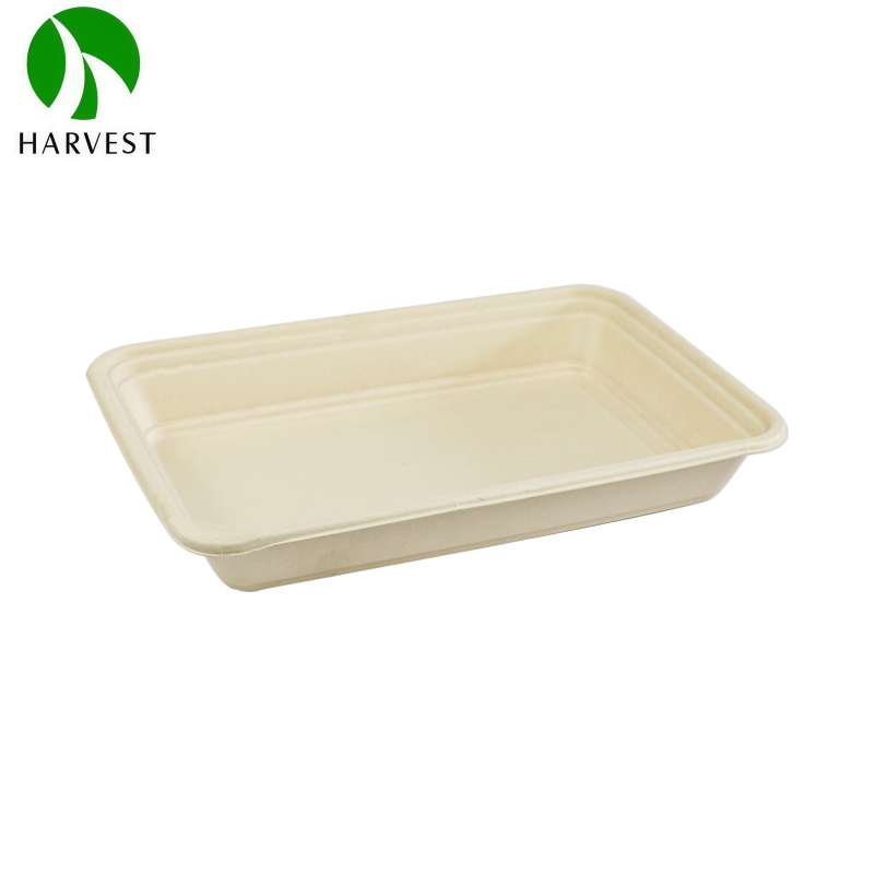 Bagasse Salad Bowl With Lid 1