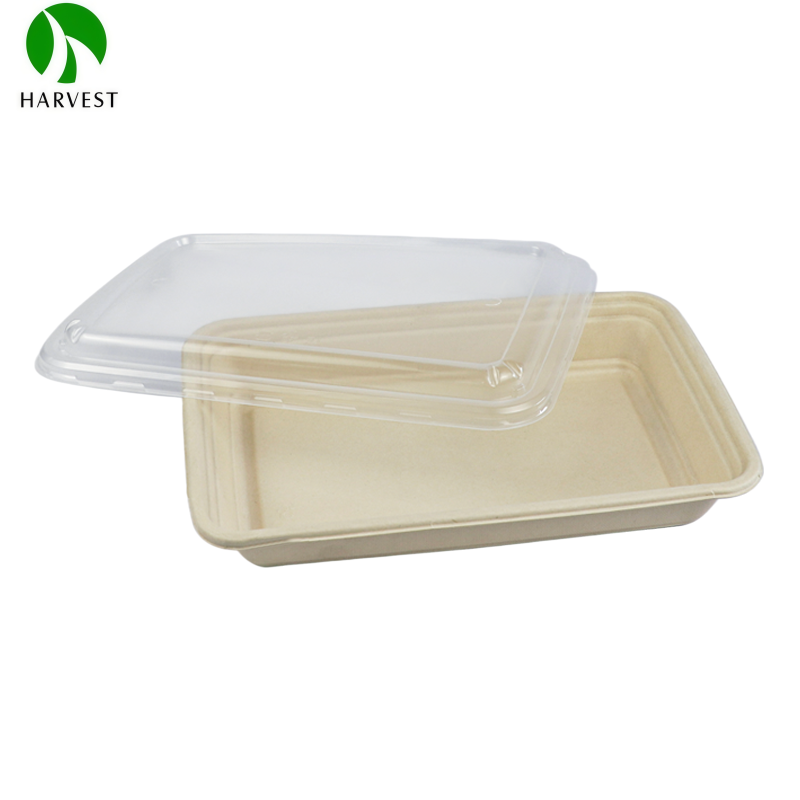 Bagasse Salad Bowl With Lid 2