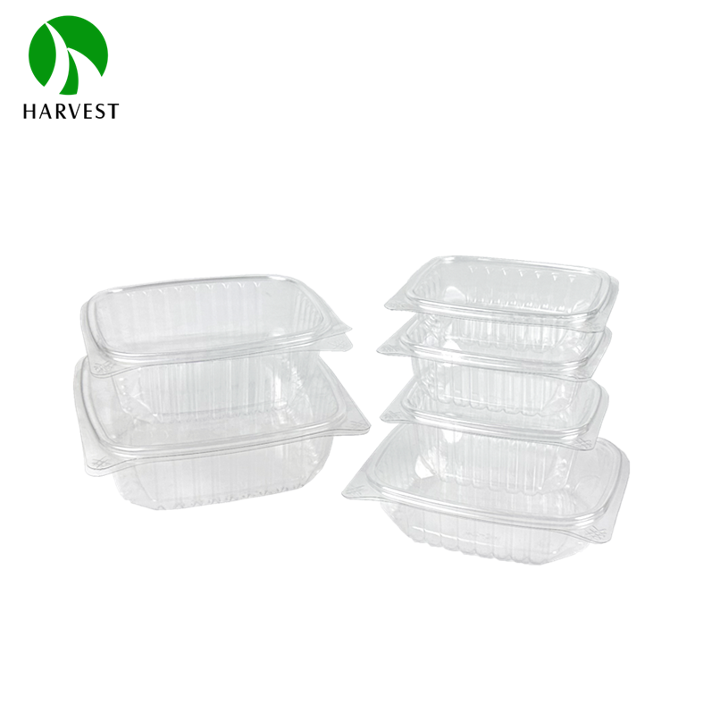 HC Series- Recyclabe PET Salad Clamshell Container 