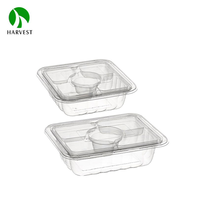 HS Double Layer Series- Recyclable PET 2 Layer Salad Box